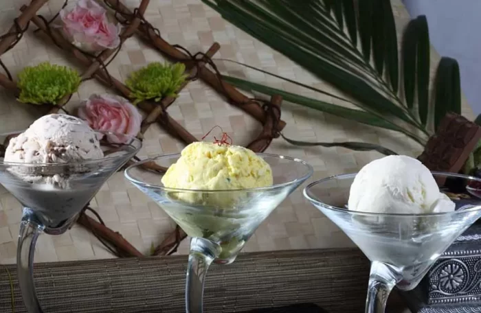 ASSORTED ICE CREAMS (2 SCOOPS)